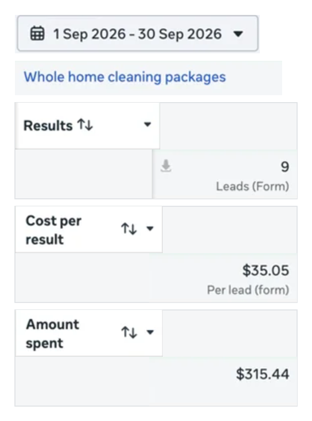 Meta Ads Manager results for Effective Wash Solutions: 9 leads at $35.05 per lead from $315.44 spend, September 2026